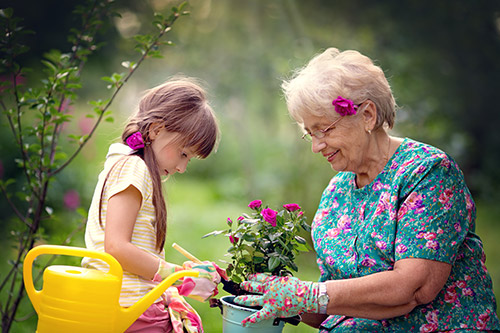 Spring Activity Recommendations for you and Your Senior Loved One - Canton, GA